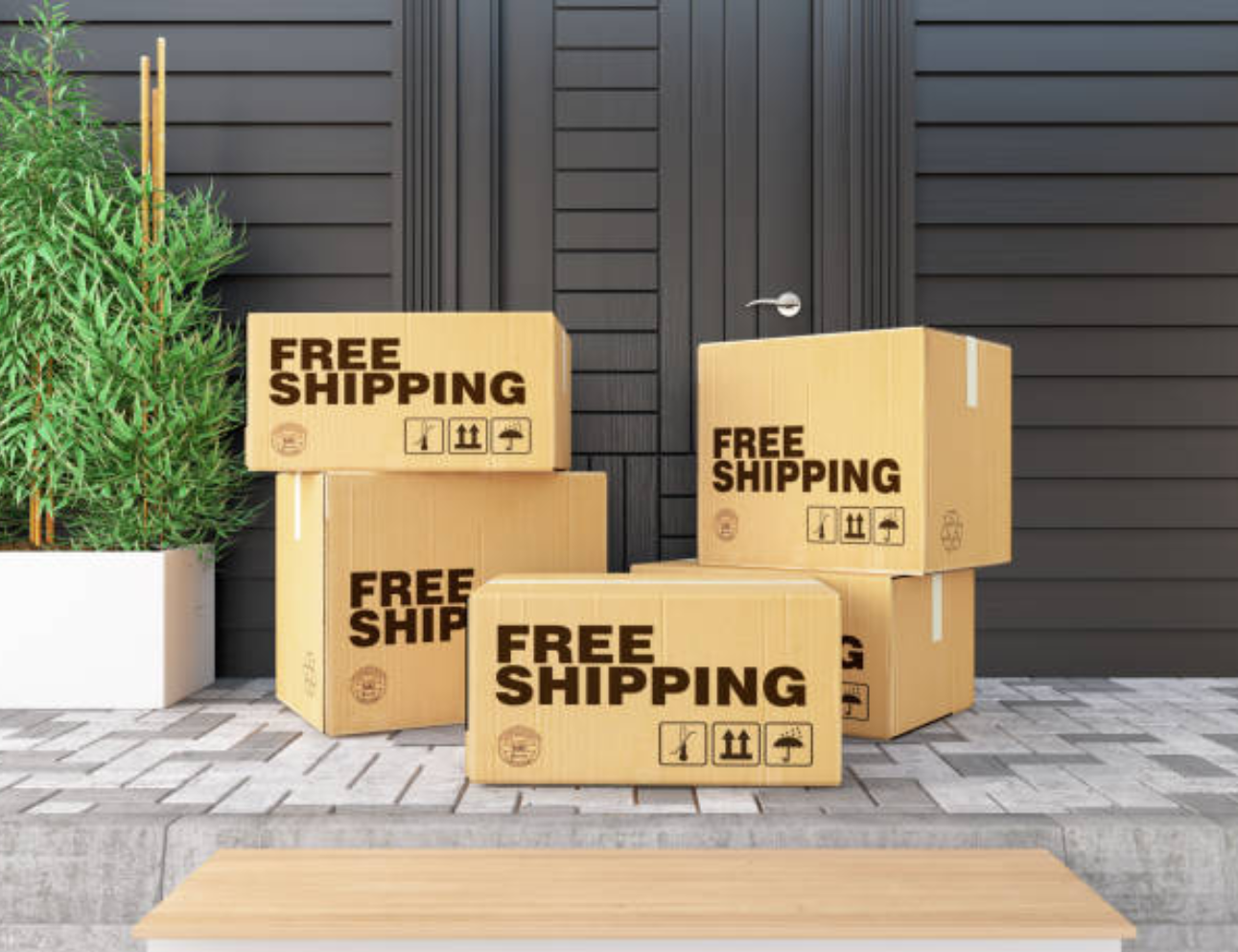 FREE SHIPPING OF ALL THE PRODUCTS